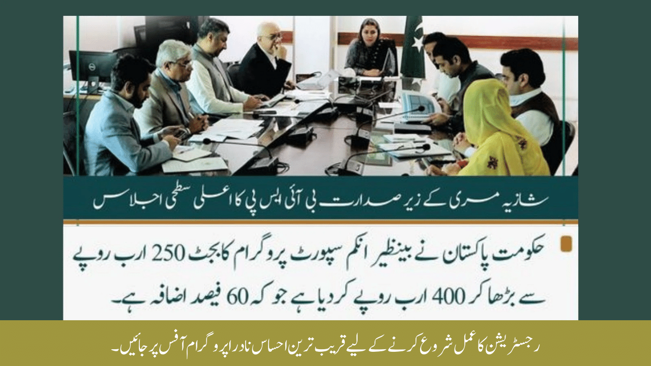 How to Register for the 25000 October Ehsaas NSER Survey Online?