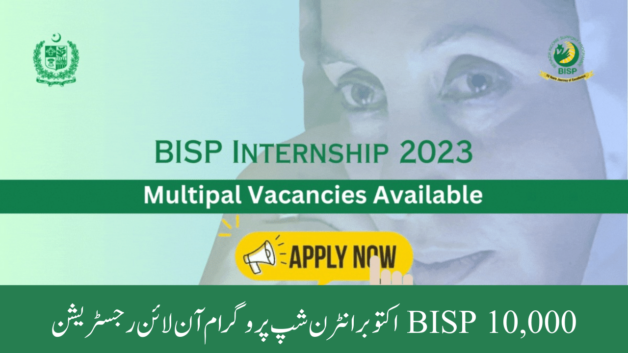 10,000 BISP October Internship Program Online Registration