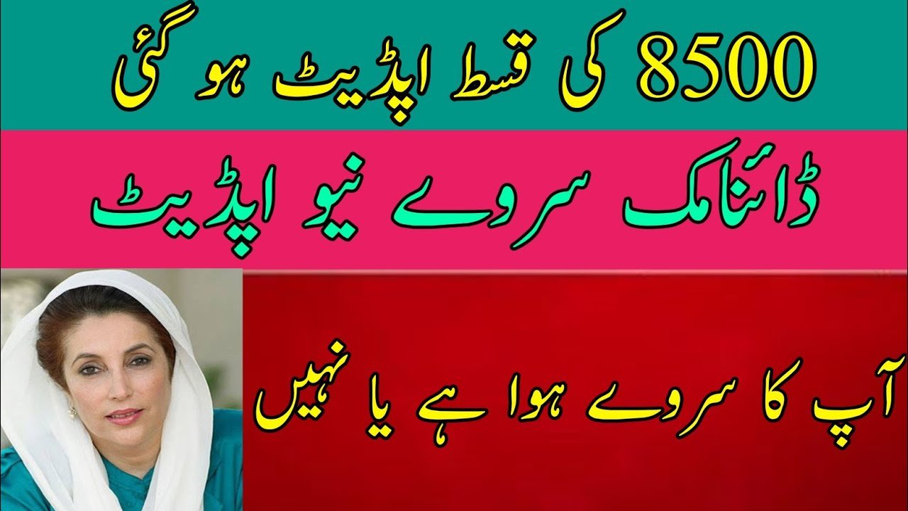 BISP New Dynamic Survey Update