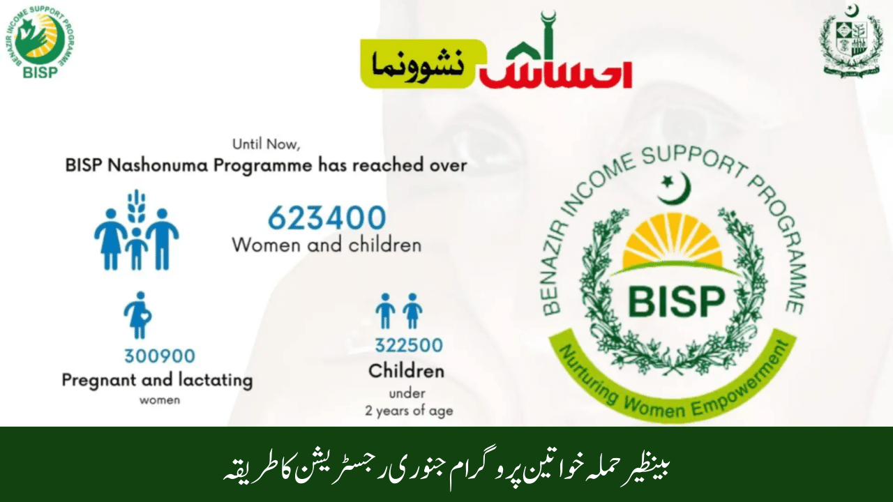 Benazir Hamla Women Program January Registration Method