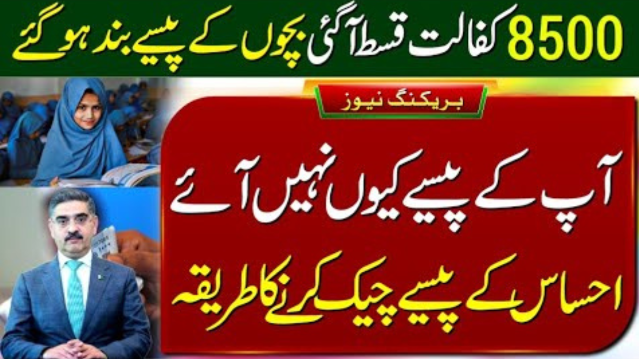 How To Check Ehsaas Money Why Didn't You Get Your Money?