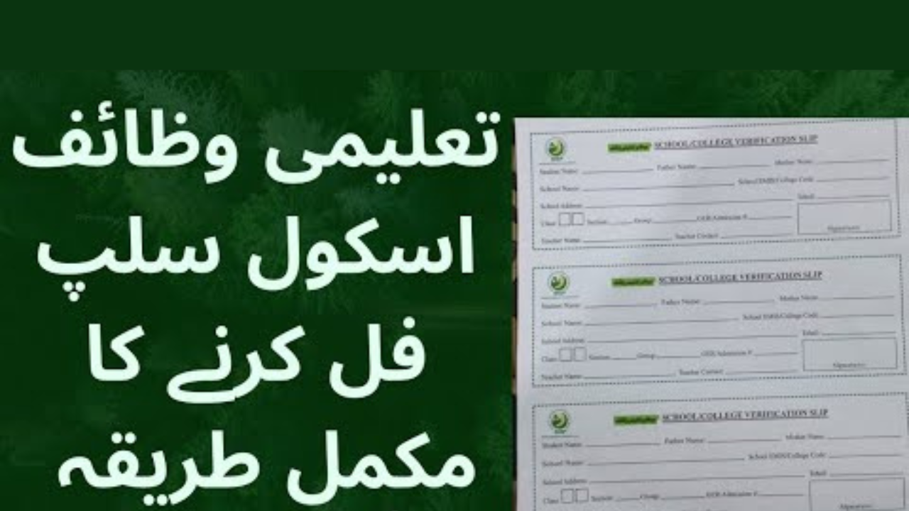 BISP Taleemi Wazaif School Verification Method