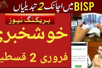 BISP 2 Big Changes in February  2 Payments Start in Next Month