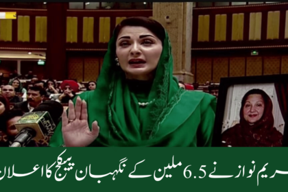 Maryam Nawaz Announced 6.5 Million Nigheban Package