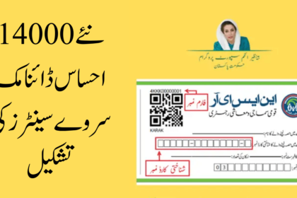 Creation of New 14000 Ehsaas Dynamic Survey Centers