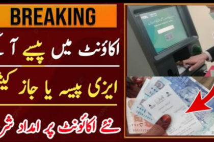 BISP 8171 Program Payments via EasyPaisa