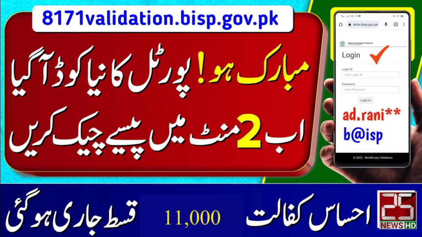 Understanding the 8171 Validation Code for February 11000 Payment