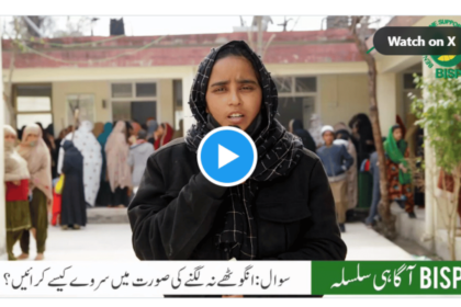 Solution of 25000 Benazir Kafalat Survey without Thumbs Print