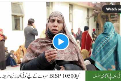 Is there any Online way for the BISP 10500 Survey?