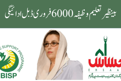 Benazir Taleemi Wazifa 6000 February Double Payment