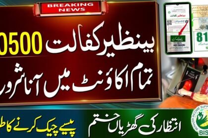 Benazir Kafalat Program