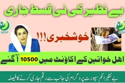 Ehsaas Kafalat 10500 How to Withdraw Money From BISP Device