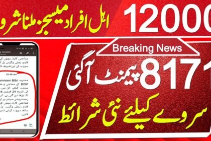 Documents Required for 12000 Benazir Kafaalat Registeration