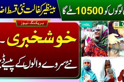Benazir Kafalat Next Installment 10500 For 8171 Survey Families