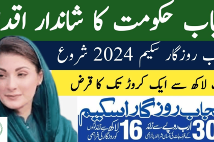 How you can get 100,000 Through CM Punjab Rozgar Scheme?