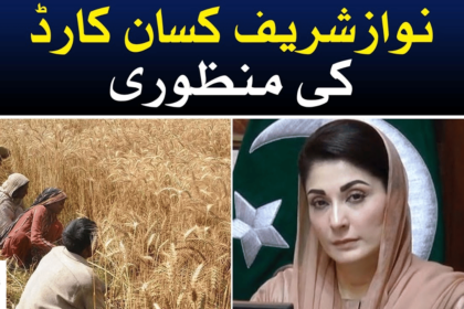 Punjab Govt Approves Distribution of 1.5Bn 'Nawaz Sharif Kisan Card' Scheme
