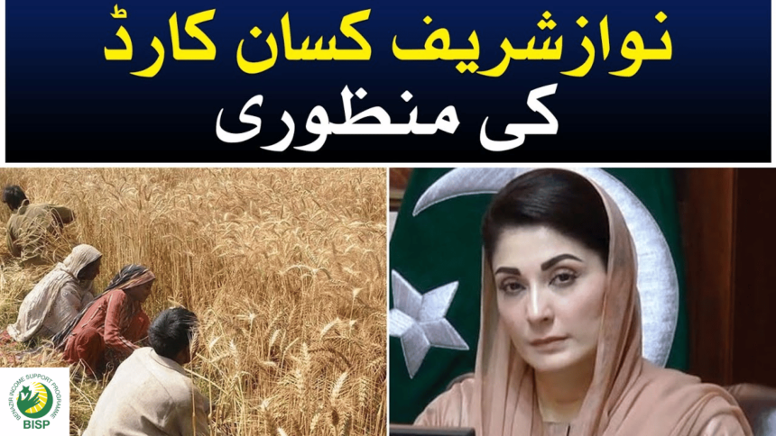 Punjab Govt Approves Distribution of 1.5Bn 'Nawaz Sharif Kisan Card' Scheme