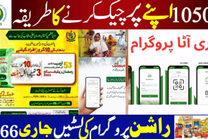 How to Check BISP 10500 Match Payment Online: A Step-by-Step Guide