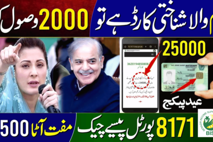 Some Stats of 25000 Maryam Nawaz Program in March