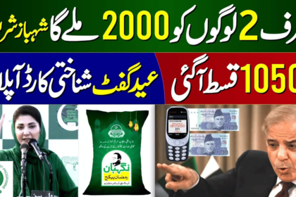 2 Types of new Families added for BISP 10500 Cash in Ramadan