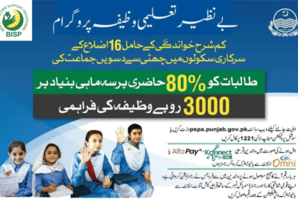 Understanding the Eligibility Criteria of 3000 Taleemi Wazifa March