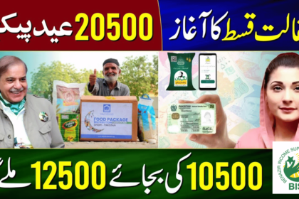 Complete Method to Get 10500 BISP Payment Without Any Hurdle
