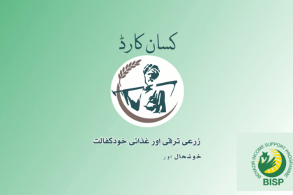 What is Maryam Nawaz Kisan Card Scheme?