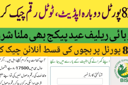 How to Check Complete 17500 BISP Payment through 8171 Portal?