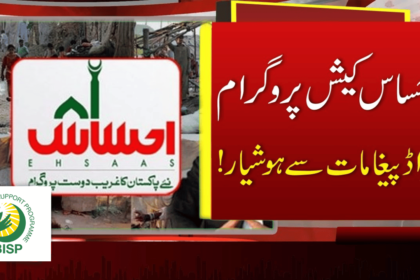 Reality of Ehsaas Kafalat 75600 Payment Messages