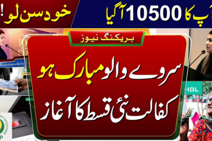 How to Register for BISP 10500 Dynamic Survey April to June?