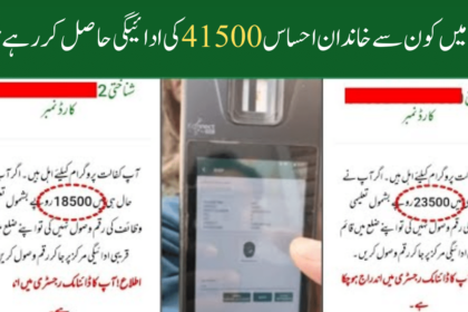 Which Families Are Getting Ehsaas 41500 Payment in March?