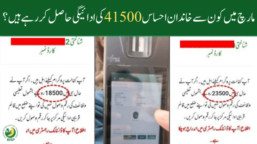 Which Families Are Getting Ehsaas 41500 Payment in March?
