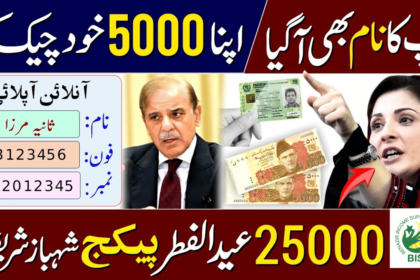 Guide to Check Eligibility for 25000 Ramadan Subsidy