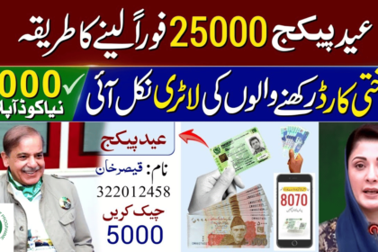 25000 Eid Kafalat Program Portal Updated by Chairman BISP