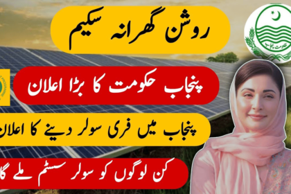 How to Register for the 50000 Punjab Roshan Ghar Program?