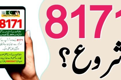 Maryam Nawaz Introduces 8171 New Ramzan Relief Program