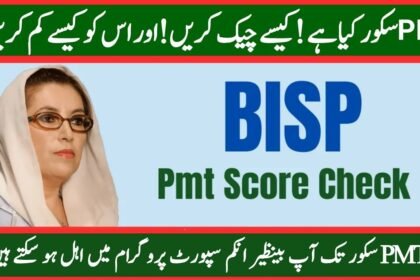 How to Check 12000 Ehsaas Rashan By Using PMT Score?