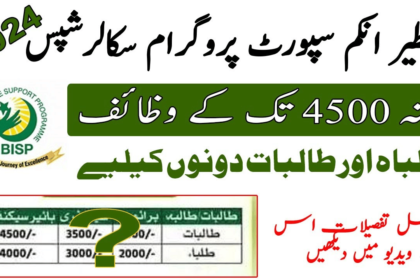 320 Million BISP Scholarships going to Distribute Among 113,051 Students