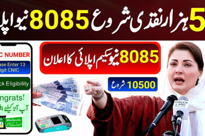 Sites Setup for BISP 10500 Distribution in 12 Districts