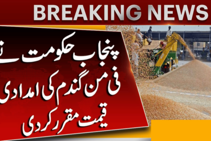 Maryam Nawaz Fix Wheat Rate Through Gandam Scheme