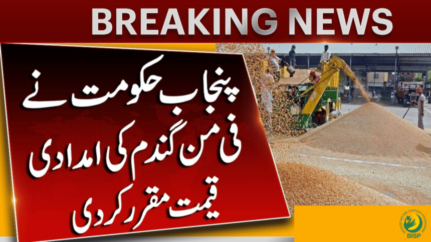 Maryam Nawaz Fix Wheat Rate Through Gandam Scheme
