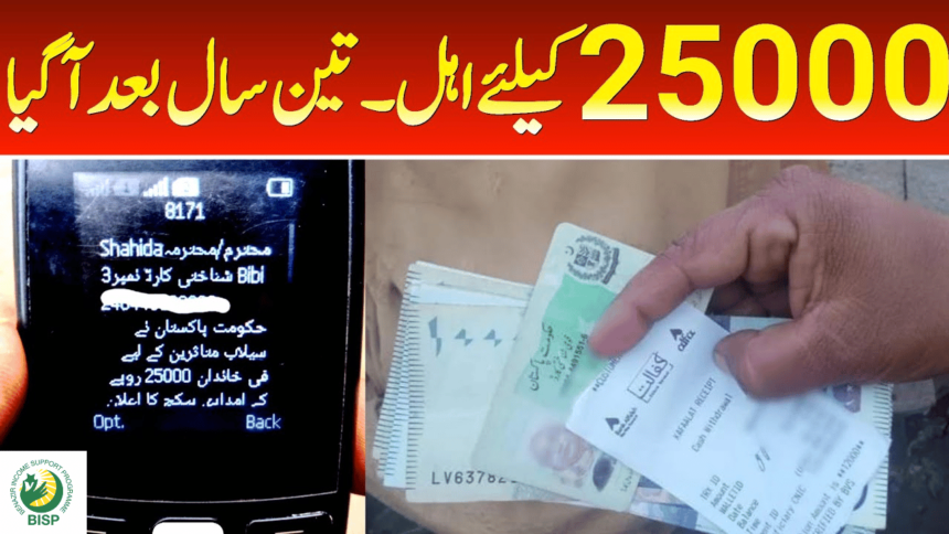 Portal for Checking Ehsaas 25000 Eid ul Fitr Package