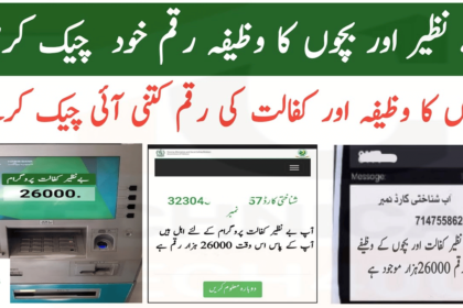 9.3 Million BISP Beneficiaries Get Sahulat Account