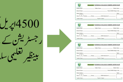 Benazir Taleemi Slip for 4500 April Registration