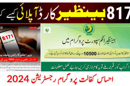 How to Become Part of 10500 BISP Kafaalat April?