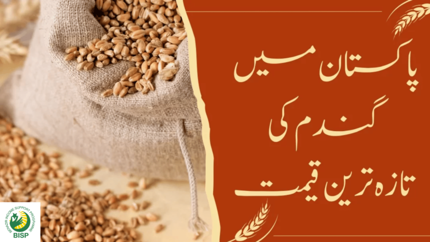 CM Revised the Wheat Rate in Punjab After Ghandum Scheme