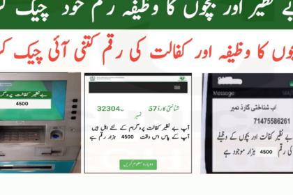 How to Check 4500 BISP Taleemi May Payment VIA HBL ATM?
