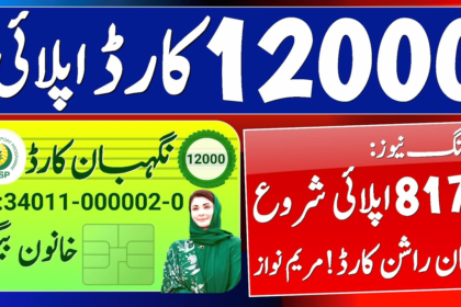 How Can You Get a 12000 Maryam Nawaz Nigehban Card?