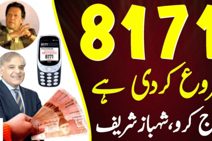 Rs. 300 billion Budget for BISP Kafaalat From 2024-25