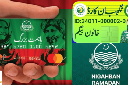 Difference Between 6000 Ehsaas Himmat and Nigehban Card